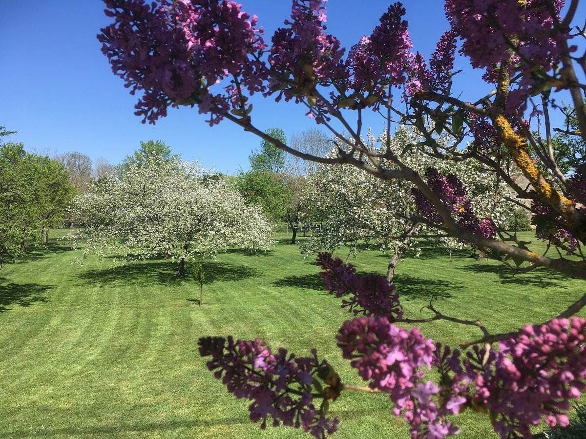 poln52's tweet photo. La grange 🏡 d'avril #Marac #HauteMarne #GrandEst. Comme un air de Combray, à la recherche du temps perdu... 😃👋 https://t.co/BcwzrooUIL