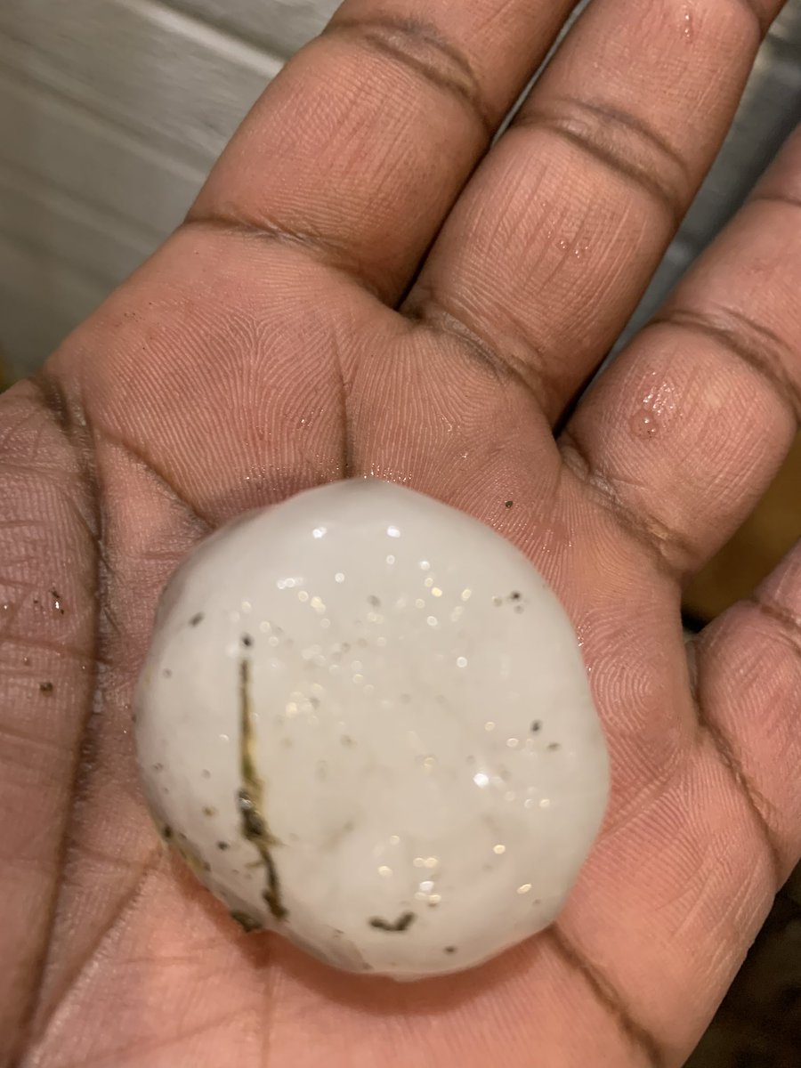 Jennifer Sarduy tweet media