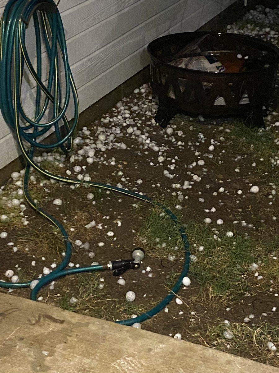 Jennifer Sarduy tweet media