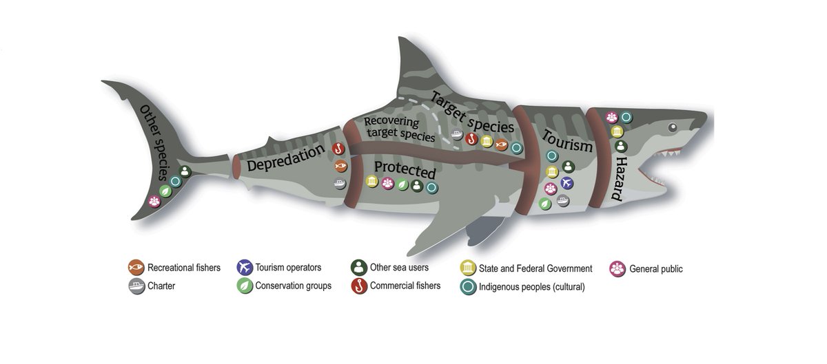 Molony & Thomson (2020) - Managing the super-shark: Recommendations to improve communication and debate about chondrichthyans. #MarinePolicy  

doi.org/10.1016/j.marp…