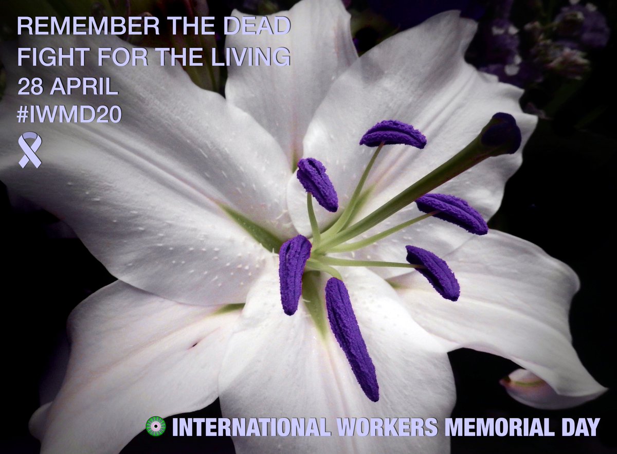 Paula Brown tweet media