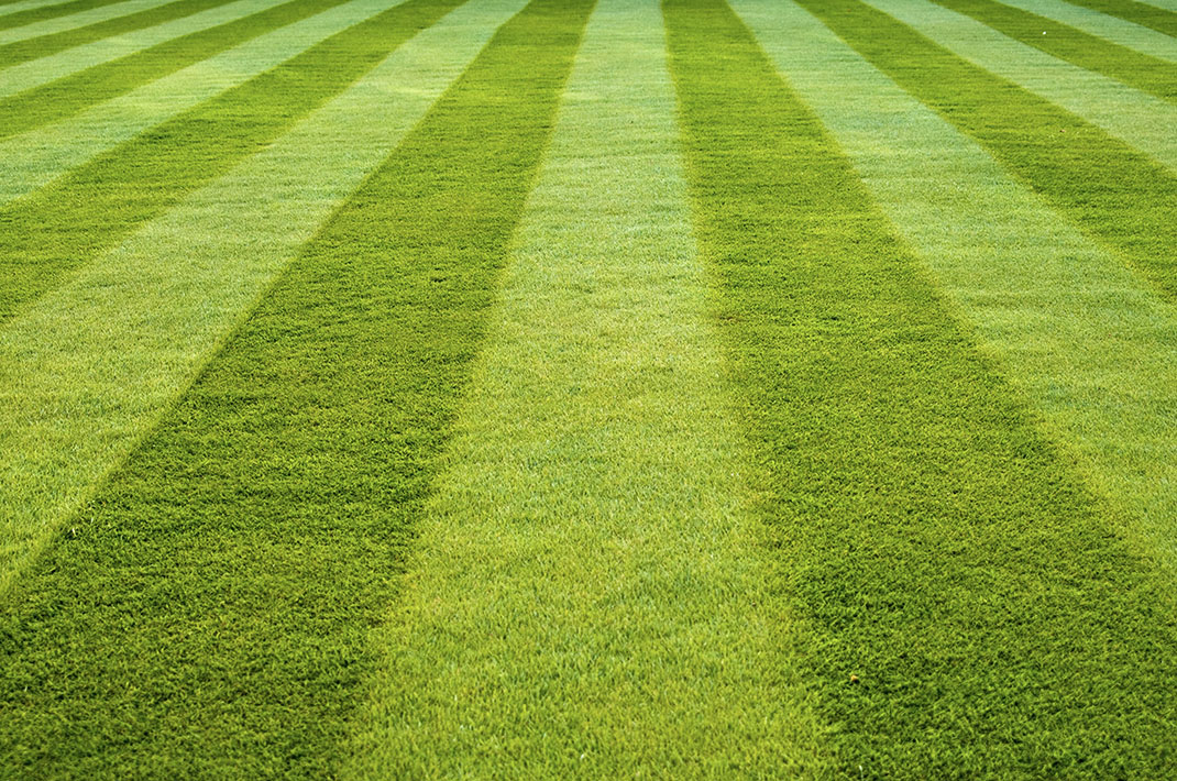 BioticProUK's tweet photo. With games such as rugby and football, you need robust, strong grass to allow for maximum effort to be used against it. #turf #sport #golf #greenskeepers #football #rugby https://t.co/T0kXwizHUO https://t.co/tKGQwdbVLx