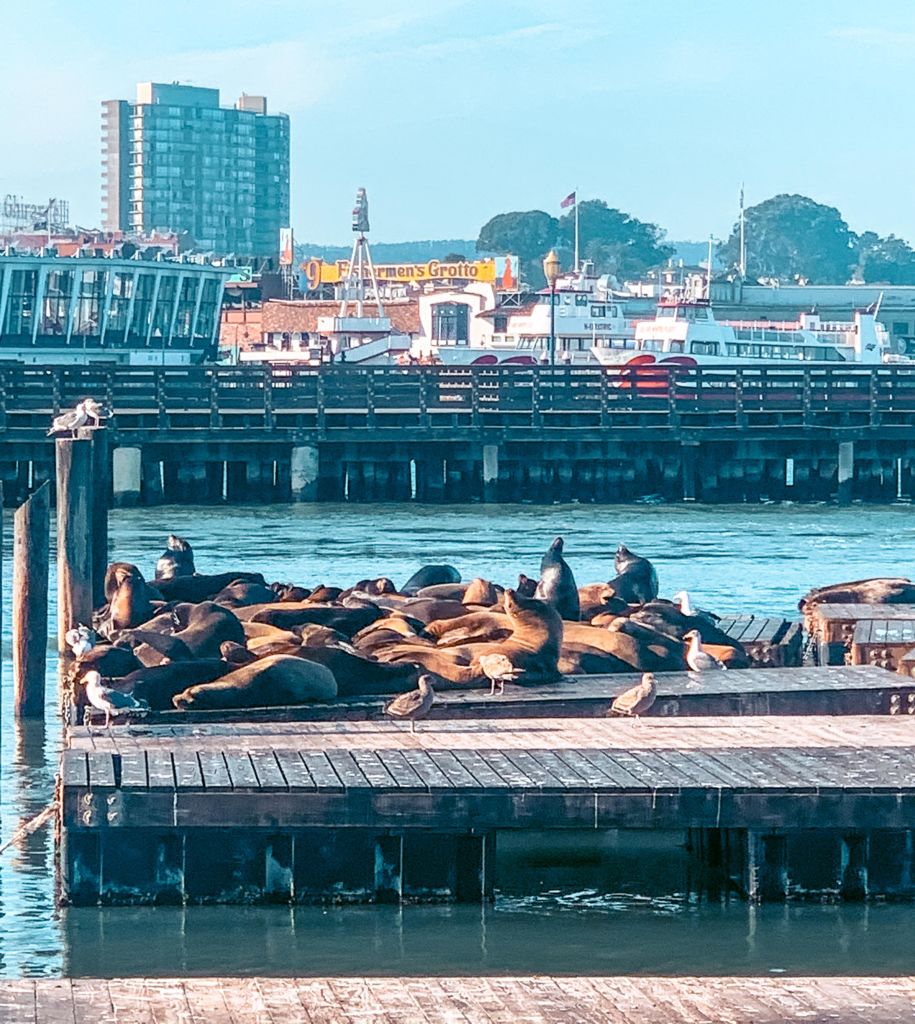 Direction #SanFrancisco 🌉🍔
RDV sur le blog pour voyager avec nous 👉 bit.ly/3bW8qlC ☀️
