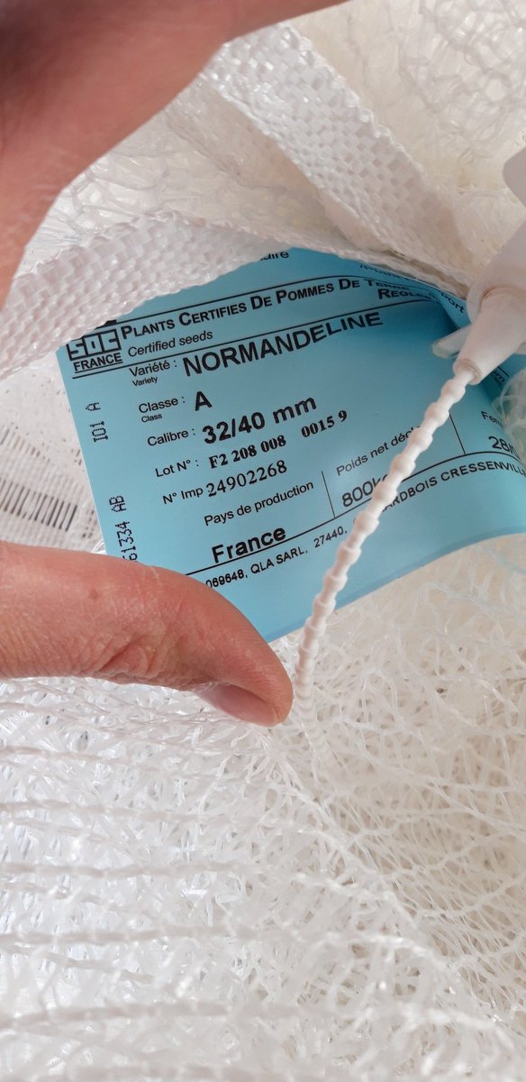 chquillet tweet media