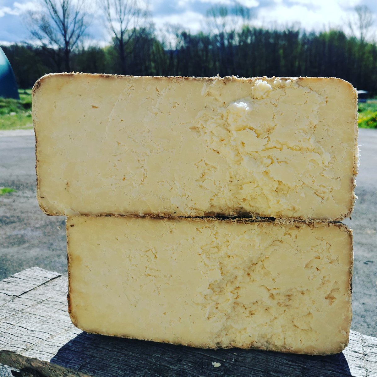 peremolideger's tweet image. I heus ací  el resultat de 4 dies de treball en l'elaboració i un any de repòs a la cava natural. Estem traient uns lots de #ceretani de molt de nivell. Aquestes  peces de cheddar fetes amb llet crua de les nostres vaques tenen un any i acumulen una gran complexitat.