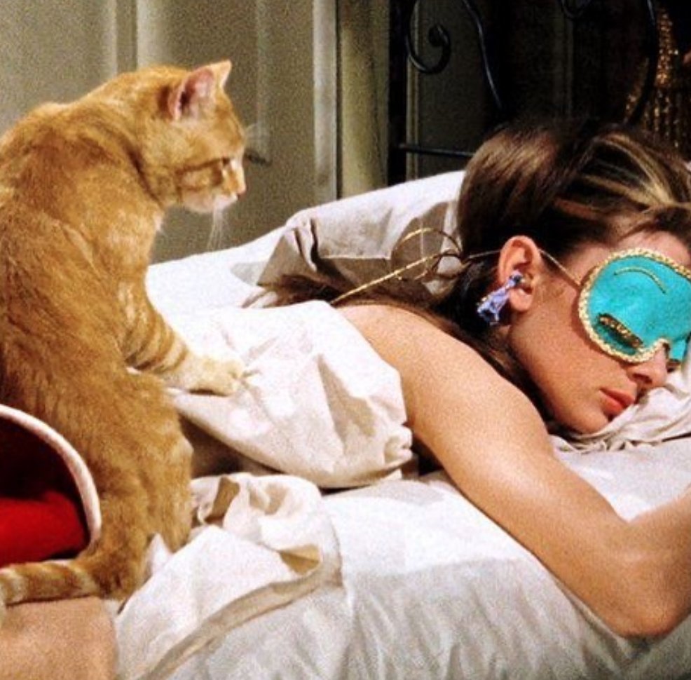 The Guinea Pig Podcast tweet media