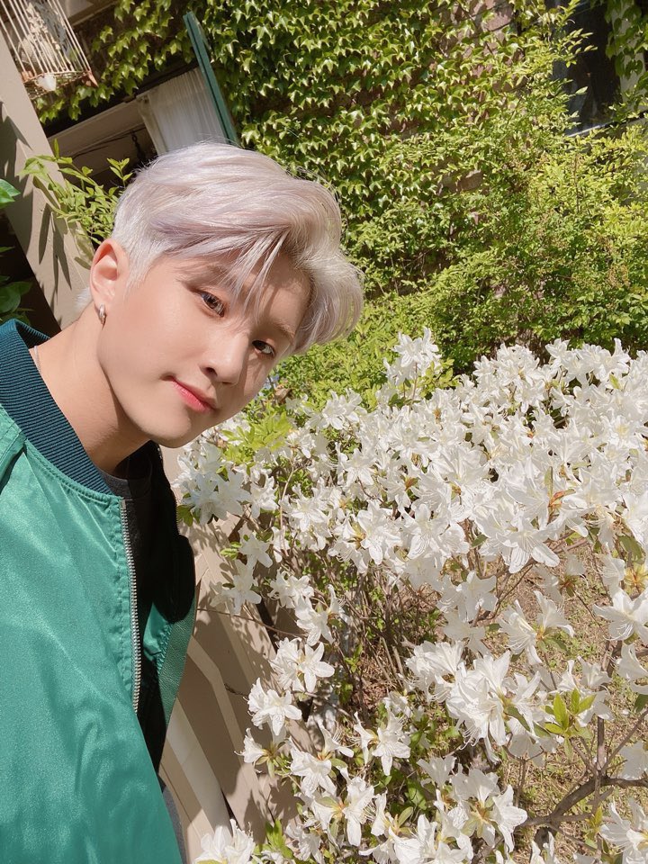 lilacrocky's tweet photo. i hope he knows hes prettier than all those flowers 😔🤍 https://t.co/egc76YmvIK