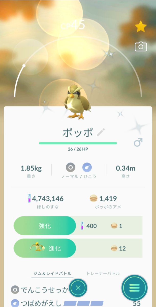 スプリンガー 並んだ並んだ ポッポ ピジョン ピジョット どの子を見てもきれいだな 人 3 ポケモンgo