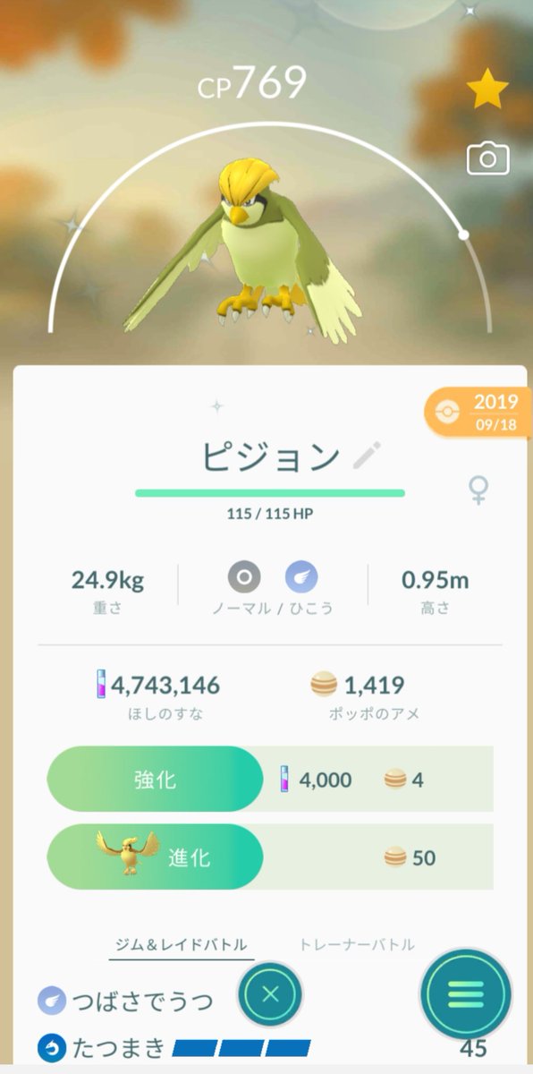 スプリンガー 並んだ並んだ ポッポ ピジョン ピジョット どの子を見てもきれいだな 人 3 ポケモンgo