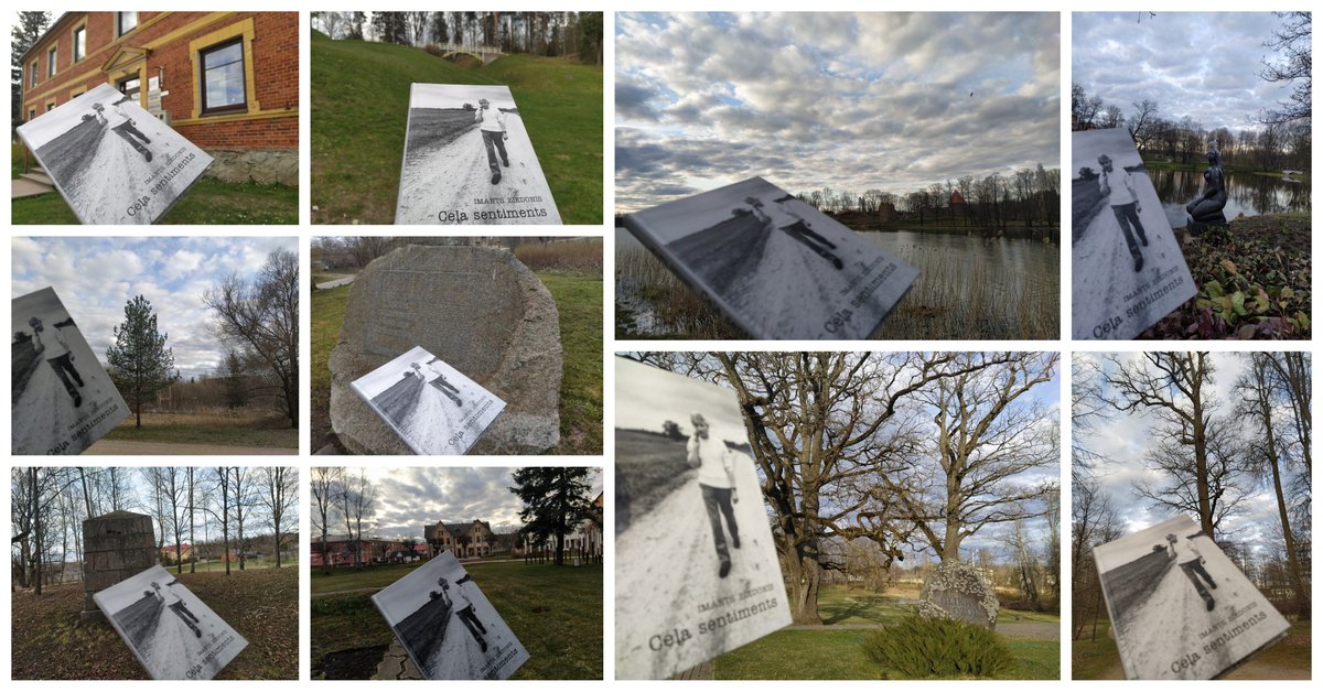 Alūksnes bibliotēka tweet media