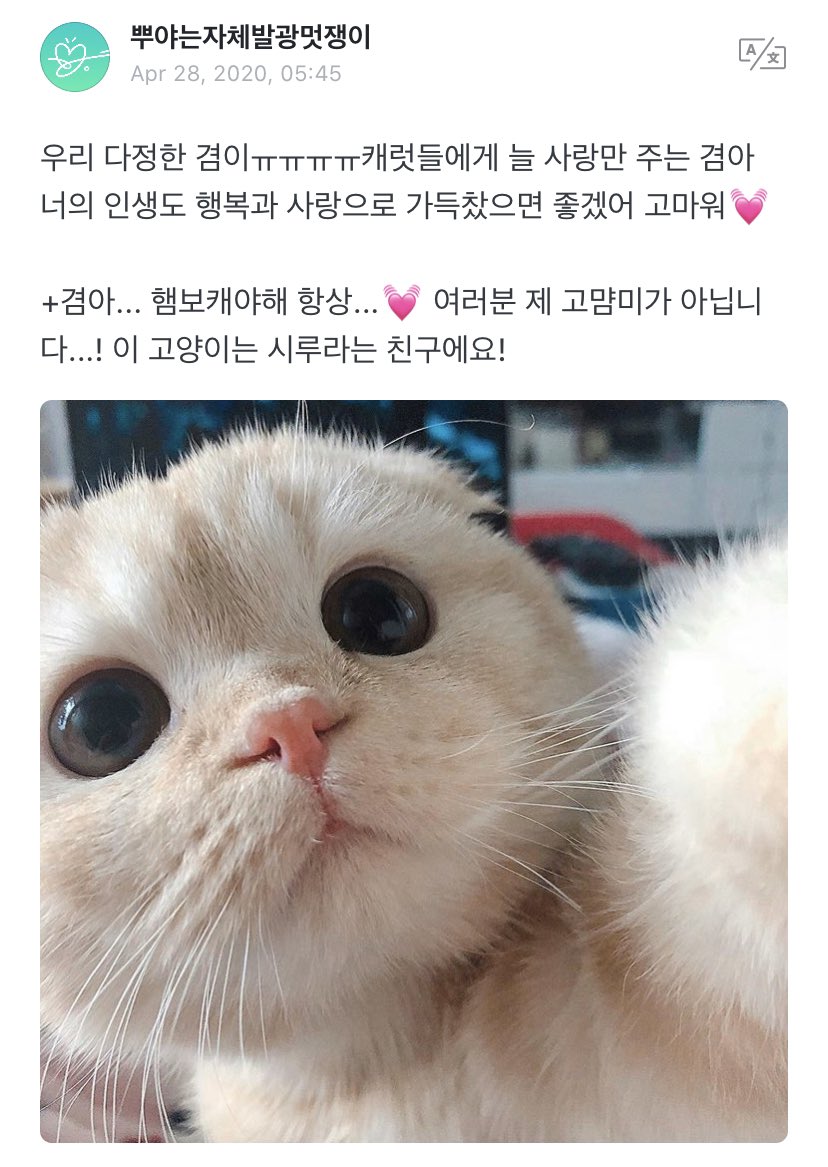 svt_verse's tweet photo. #DK’s reply to fan

OP: Our gentle Kyeommieㅠㅠㅠㅠ Kyeom, who always gives only love to carats, I hope your life is filled with happiness and love, thank you💓
#DK: I hope carats’ are always filled with happiness tooㅠㅠ
Why is the kitten so prettyㅠㅠ

#SEVENTEEN @pledis_17 https://t.co/ZTgye252jN