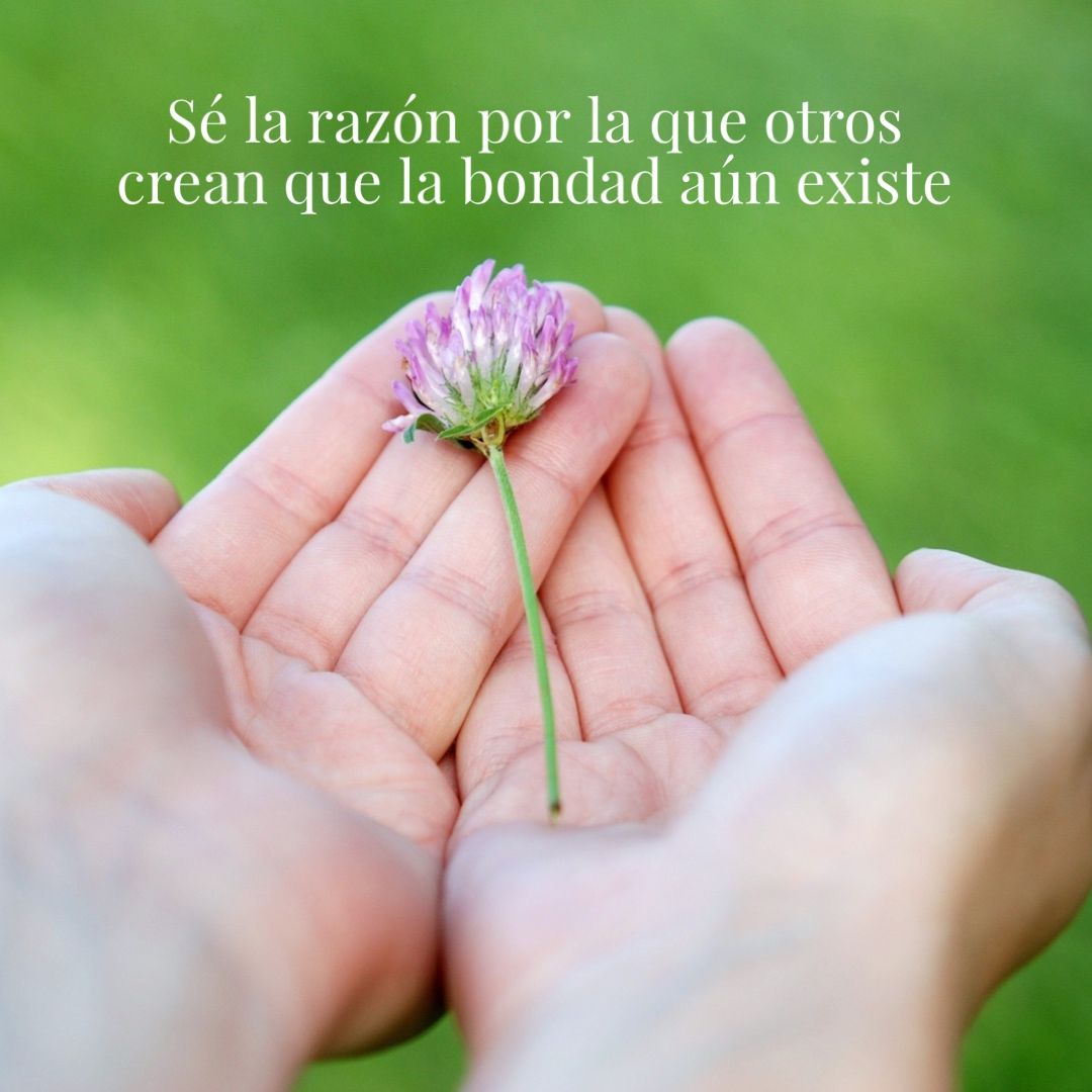 catholiclink_es's tweet photo. Ser testimonio de bondad en un mundo que lo necesita 🌸 https://t.co/K5mnlKuDkU