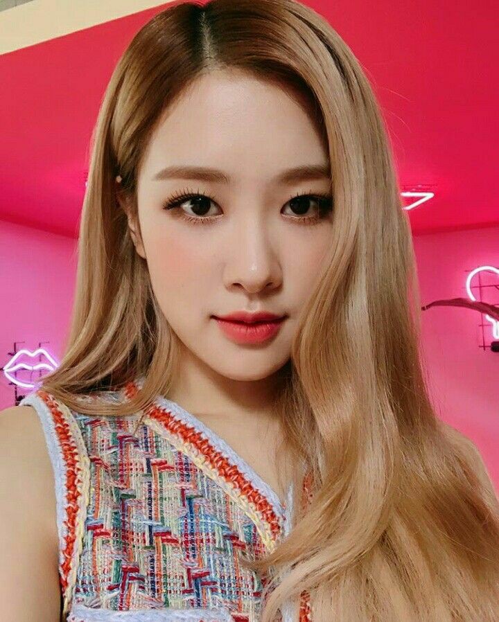 ElloshiMiyeka's tweet photo. Hai, miyeka disini🐰aku newbie, belum punya fambest°^°

Mutualan?rt

Miyeka orangnya baik kok •^•

#roleplayerindonesia #roleplayerkpop #roleplayer #roleplayerindo #roleplayerindonesia https://t.co/tOijfIZZ15