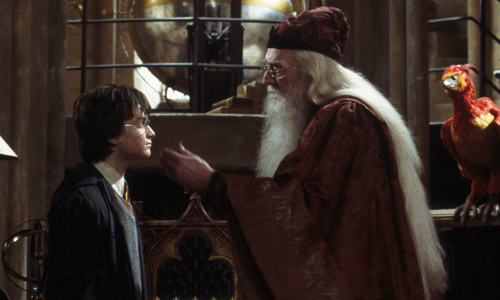 PotterWorldUK's tweet photo. "It is our choices, Harry, that show what we truly are, far more than our abilities." https://t.co/wUJ41DZqBV