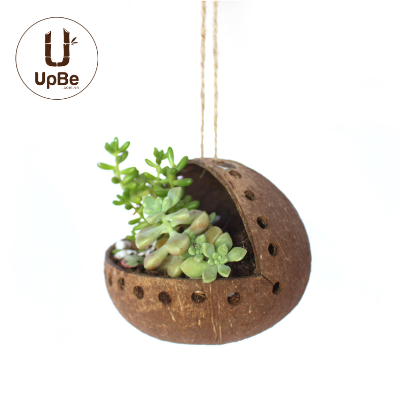 UpbeVietnam's tweet photo. What's better than the joy of completing our goals? Everyday more people are switching to a more eco-friendly lifestyle. With everyones help we can eliminate major use of harmful plastics. Coconut pots are a good way to start a better lifestyle! #Motivation #goals  #lifestyle https://t.co/RusuK2PmPZ