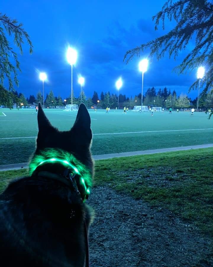 JAGCORPS9's tweet photo. #shorelinelivingmoops https://t.co/cXz2X53msu