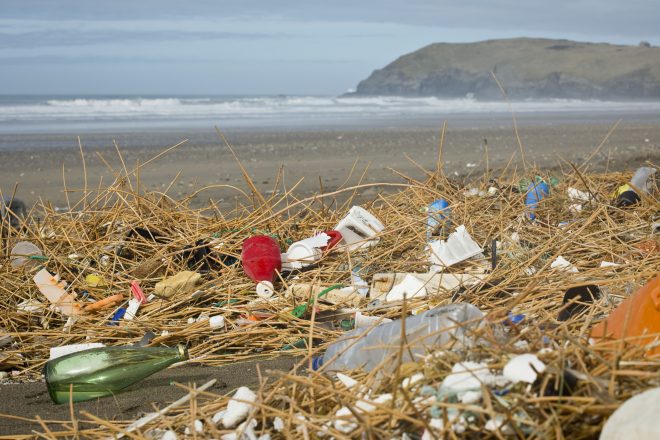 sascampaigns's tweet photo. We're calling out big brands on their HUGE plastic pollution problem, and we need your help. Pls RT

Together we can make sure packaging doesn't stay hidden in coastlines, hedges, and curbs. Snap a photo, post it to social media &amp; expose it - tagging the brand. #ReturnToOffender https://t.co/HBI5D6OeVw