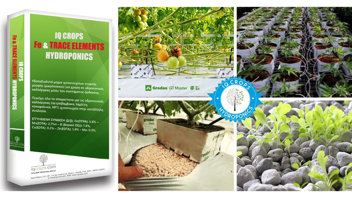 ΠΛΗΡΕΣ ΜIΓΜΑ ΣΙΔΗΡΟΥ &amp; IΧΝΟΣΤΟΧΕΙΩΝ ΓIΑ ΟΛΕΣ ΤΙΣ ΥΔΡΟΠΟΝIΚΕΣ ΚΑΛΛIΕΡΓΕIΕΣ

IQ CROPS FE &amp; TRACE ELEMENTS 

Διευκολύνει την προετοιμασία των πυκνών διαλυμάτων καθότι ο παραγωγός ζυγίζει 1 προϊόν αντί για 6 διαφορετικά προιόντα σε πολύ μικρές ποσότητες bit.ly/2xlfSYM
