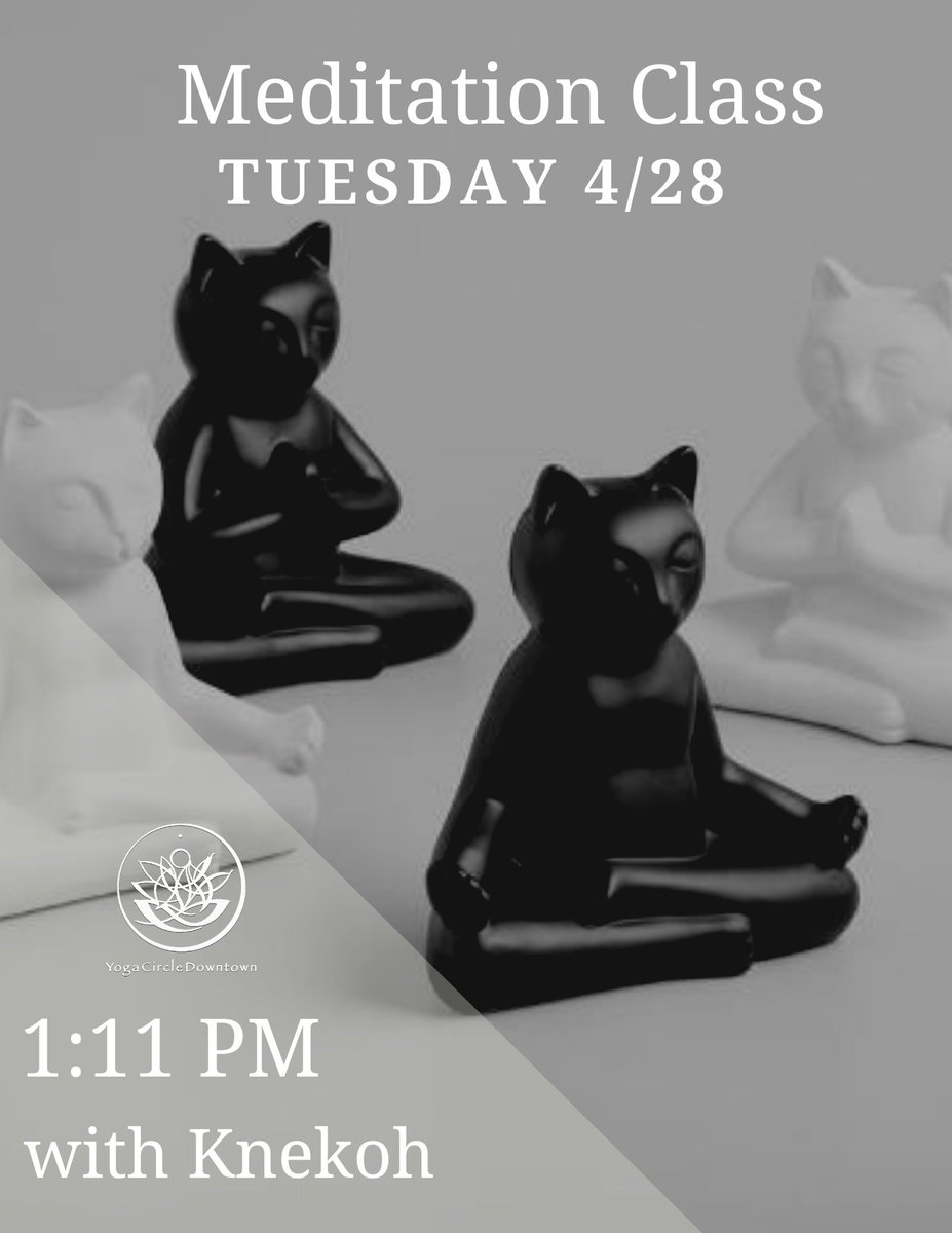 Hit pause on your day! Join Knekoh at 1:11 every Tues. for meditation. Email admin@yogacircledowntown.com for Zoom access.

Due to the nature of meditation, the room will be locked promptly at 1:10. Please arrive between 1 &amp; 1:10 to settle in.