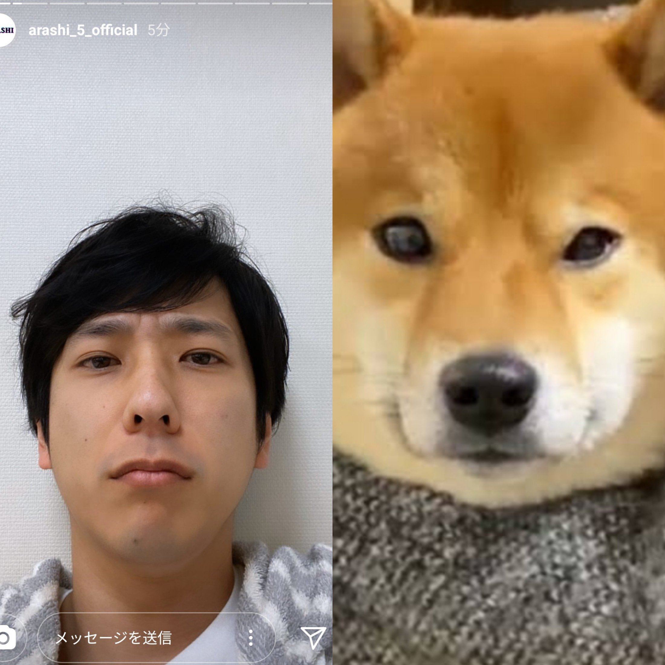 تويتر 遥和 على تويتر ニノちゃんってマジで犬 そっくりすぎて笑 嵐instagramストーリー 二宮和也 T Co Yerrc7hihs