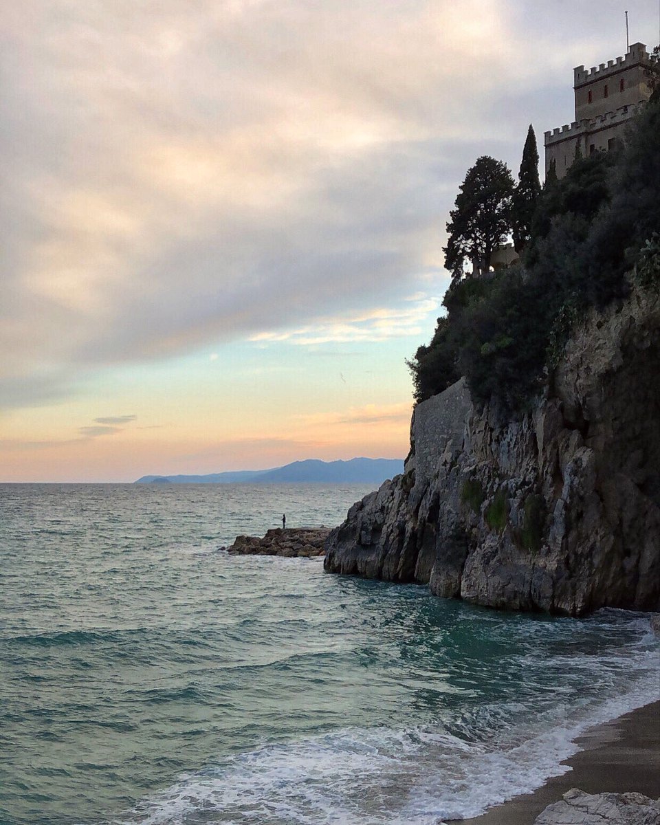 daniela stratta tweet media