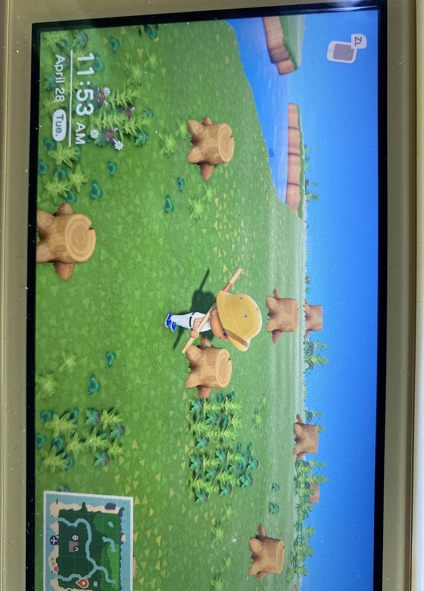 Its_Brownies's tweet photo. Okay, so like, do trees not grow back in @animalcrossing? Or does it just take a while. Cause if not i messed up this half of my island 😬 https://t.co/o0zv7NHaJM