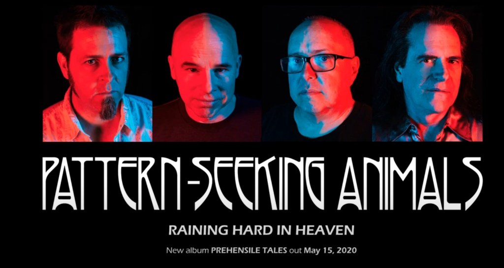 PATTERN-SEEKING ANIMALS release second track “Raining Hard in Heaven” off forthcoming studio album ‘Prehensile Tales’! rezonatz.com/2020/04/28/pat…