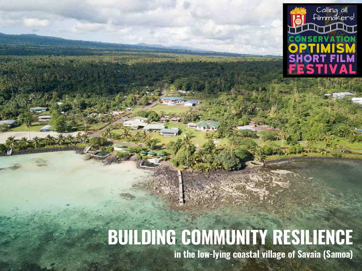 ChangeIsland photo