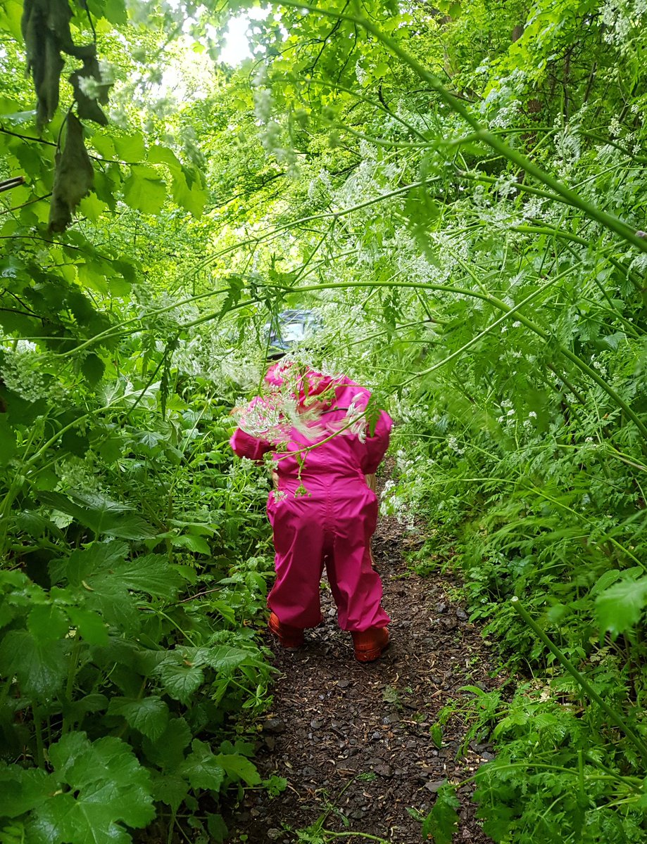 GrubbyBubba's tweet photo. Off, we, go. 

#ToddlerLife #lockdownuk who cares about the #rain https://t.co/Lqck9VNpT8