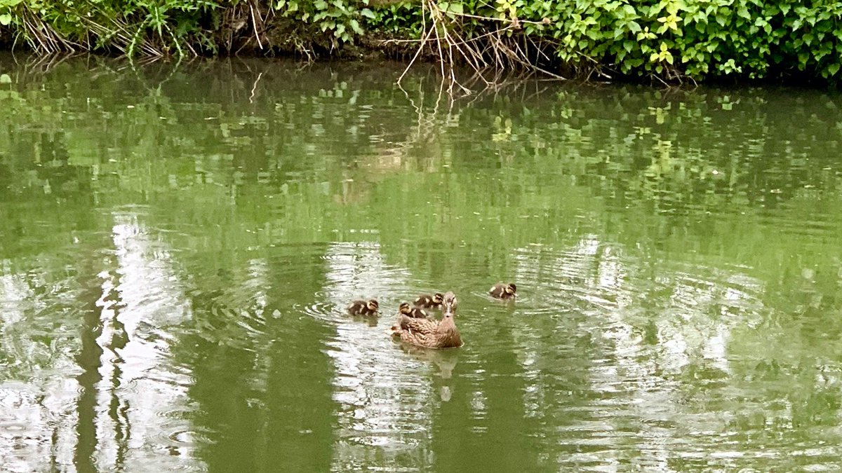 Nice weather for... #spring  #naturelovers