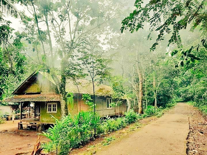 Alfad_05's tweet photo. Ini baru udara segar https://t.co/mn0jVTiNJf