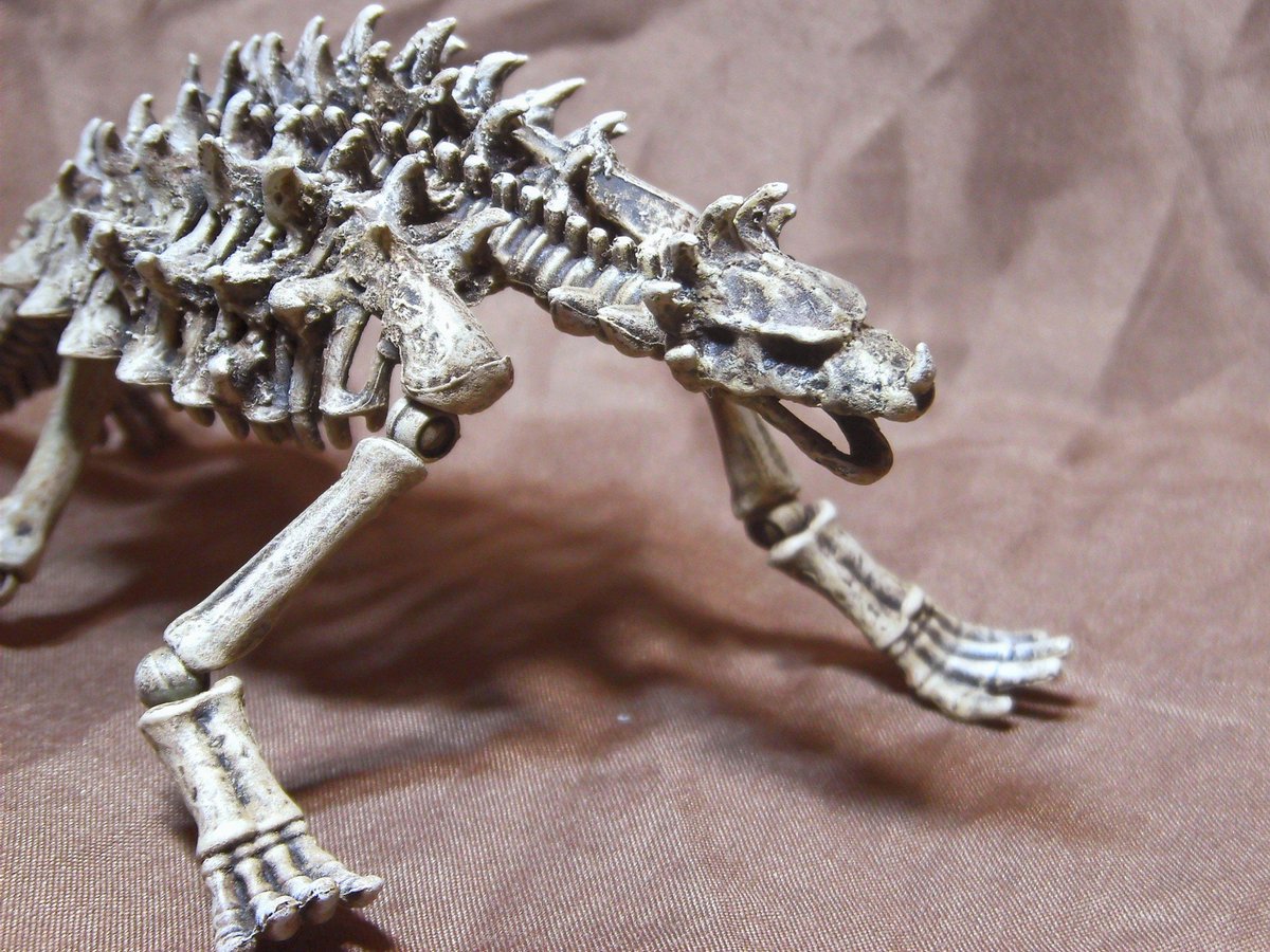 ポーズスケルトン恐竜シリーズの余ったパーツを寄せ集めて、
アンギラス骨格っぽく改造してみました。

FWに合わせて甲羅のトゲは逆立たせて角も七本に
あと丁度良いサイズの物が無かったので、頭だけエポパテで作りました。

ドハゴジさんのお家に置いてあった骨を意識してます
#ゴジラ 