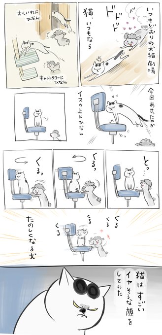 今日も犬と猫はたのしそう 