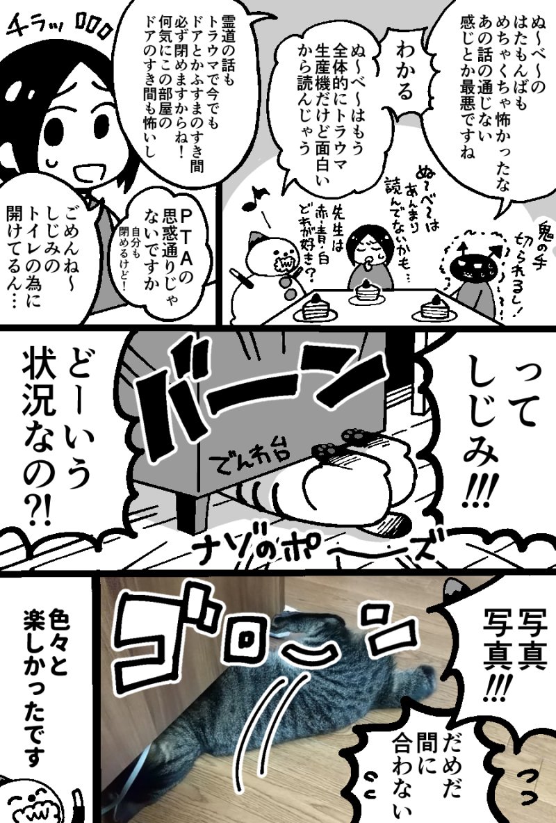 以前天道先生のお宅にお邪魔した時のお話。
しじみちゃんめちゃくちゃ可愛かった!(いや本当に)
凄くかまってくれた!(気がする)
また遊べる日を楽しみにしております～(*'w`*)

 #3本足のしじみちゃん 