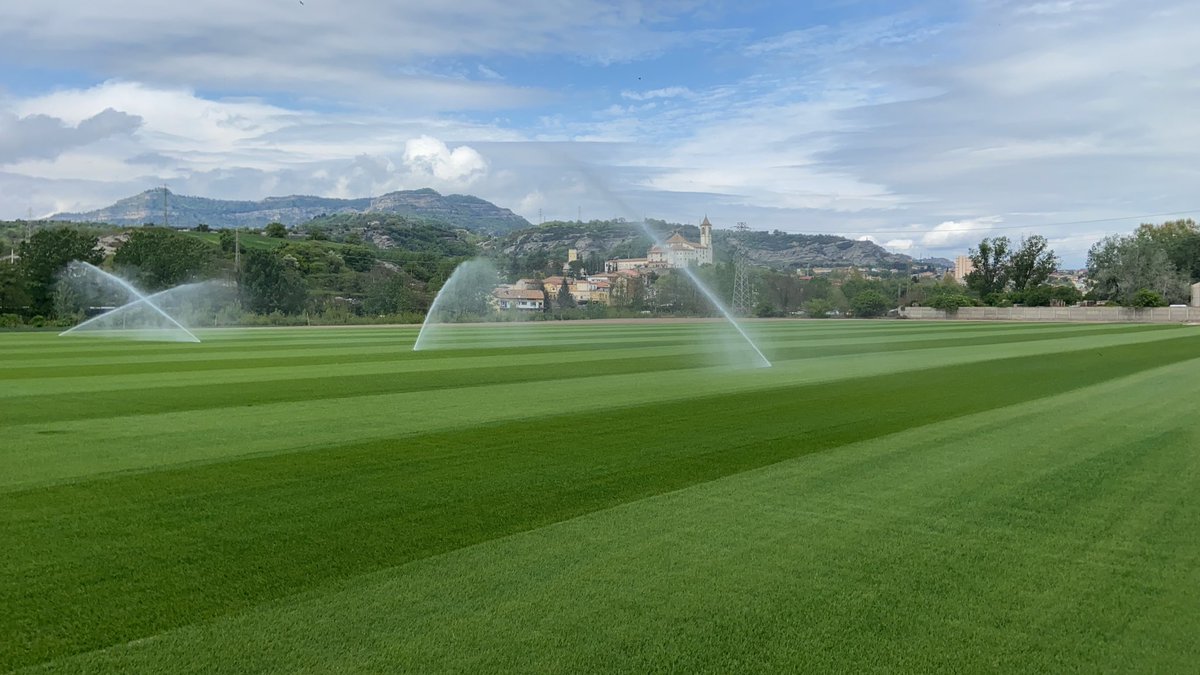 rovirahoms's tweet photo. Primera siega en uno de nuestros campos de tepe híbrido #productioncenter @royalverd https://t.co/Cx5H2ZDn31