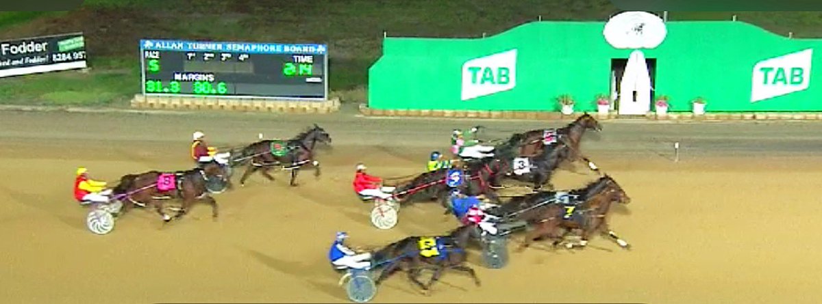 TSllinke's tweet photo. #WeeroonaBoy aka Kiwi wins by a nostril hair in the Arclight Photography 3yo Pace. A big congratulations to @TysonLinke and a big thank you to Ryan Hryhorec for getting the big red boy across the line #red #aucklandreactor #win #chestnut https://t.co/c0F95vjGAd