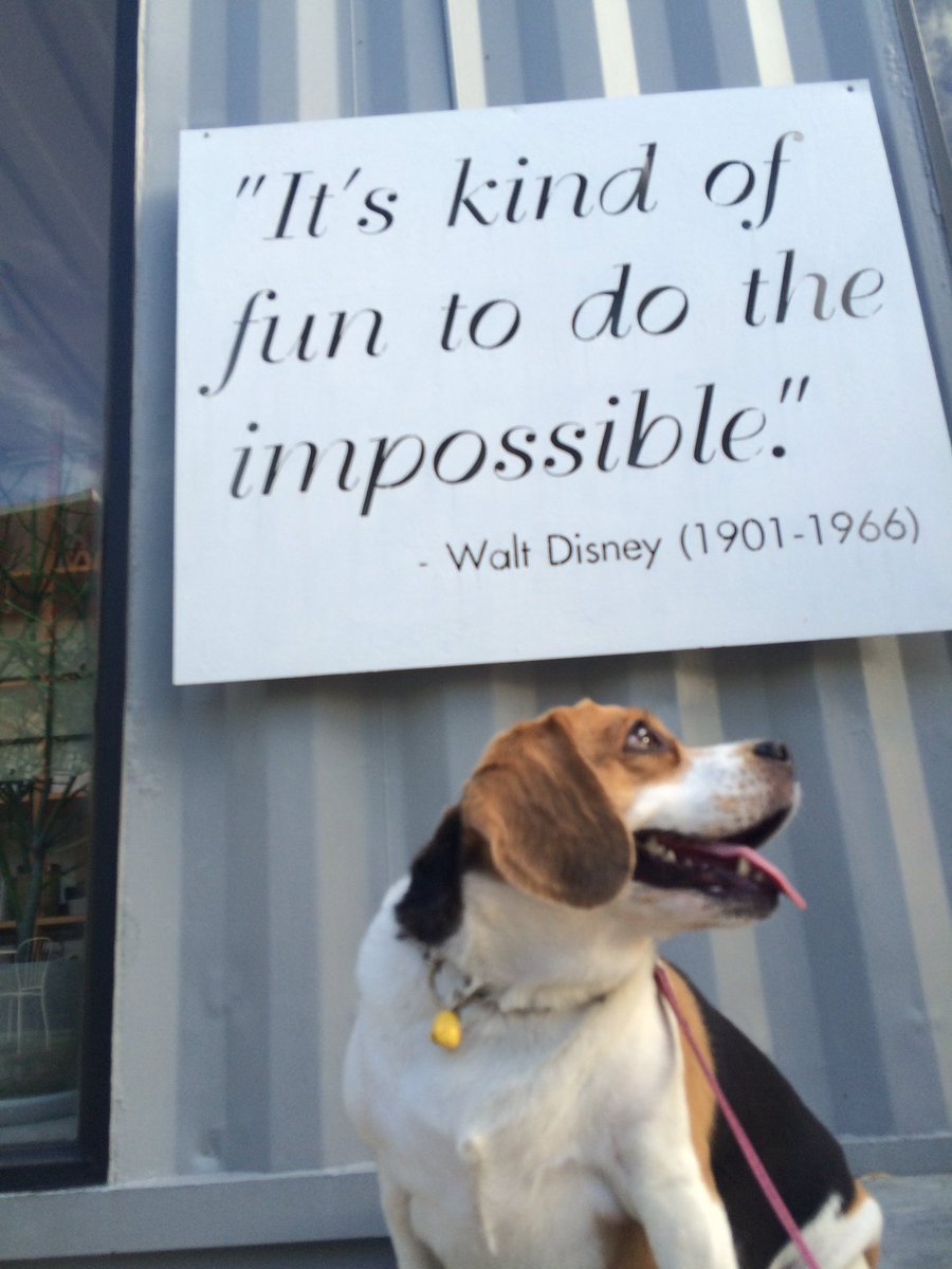 CurfewBeagle's tweet photo. #OneDayOneWordOnePicture
Today I’d like to present
da letter Q
QUOTES
C’mon pals let’s play together https://t.co/iJcLY88su8