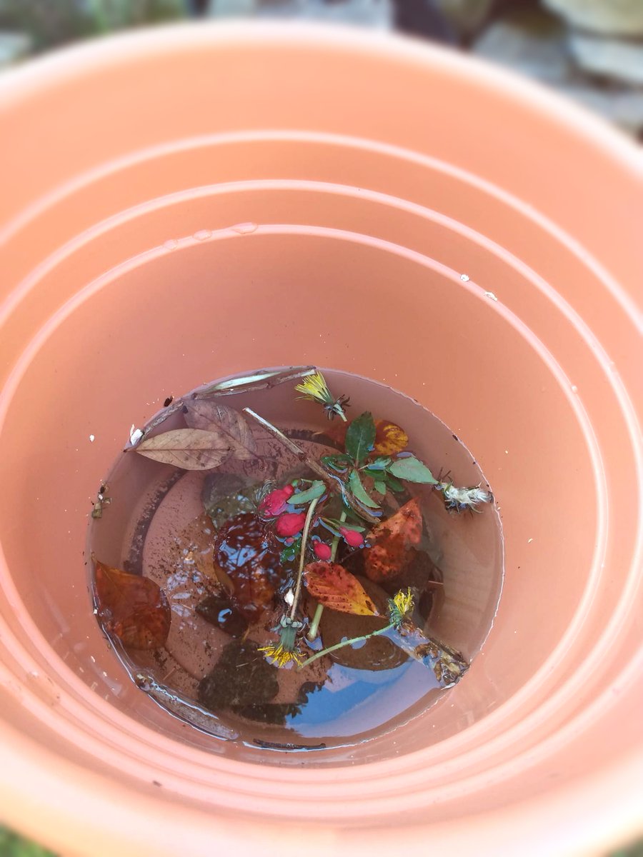 CreateSheff's tweet photo. We love this magical #homeadventure shared by Laura 💫🍃
#17 Hocus Pocus Potions #50ThingsSheffield #under5's https://t.co/k6bzjzKOzw