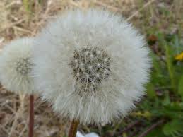 As #allergy season approches, scientific studies have shown that air filtration reduces airborne allergens and will provide some relief. Experts recommend two types of filtration; #HVAC and #HEPA ow.ly/K95L30quvl4