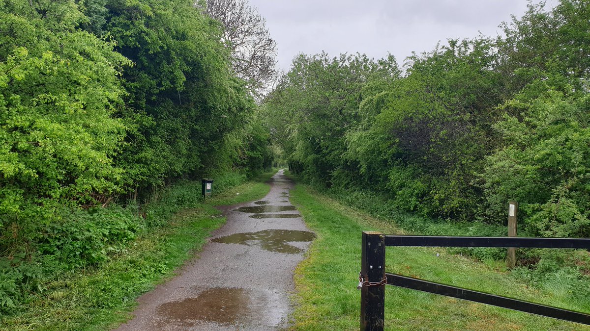 BXCPBVW's tweet photo. Weekly patrol of the #BramptonValleyWay underway, and hardly a soul to be seen!
Social distancing? Or maybe, it's just the rain keeping everyone home today!
🌳🌳🌧☔🌧🌳🌳
#NorthantsTogether #StayHome #lockdown #rangerwork #RangerDeb https://t.co/0CJtCi3jg1