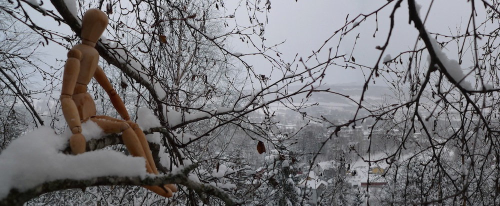 uptreeslog's tweet image. Shu-mu Travels artofclimbingtrees.net/2020/04/28/shu…