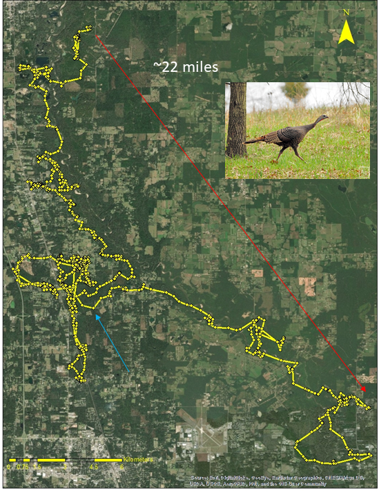 Mike Chamberlain tweet media