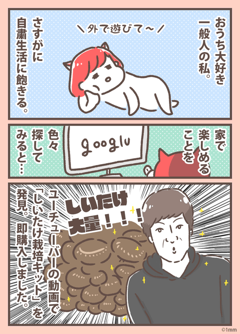 大量のしいたけができて、GWはしいたけウィークになりそう…??
#おうちですごそう 
#おうちでそだてよう

たった1週間で100個収穫!外出自粛のストレス発散に「しいたけ栽培キット」始めたらコスパ良い趣味ができた
https://t.co/Ulaj8Ehdqa 