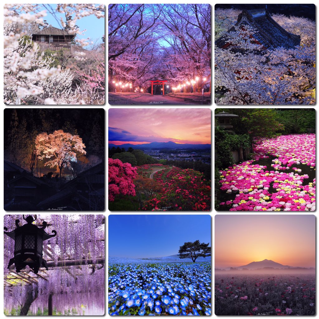 春夏秋冬の9枚 Twitter Search Twitter