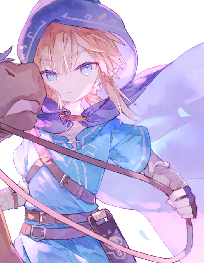 ゼルダ「リンク
#ゼルダの伝説 #botw 」|水々のイラスト