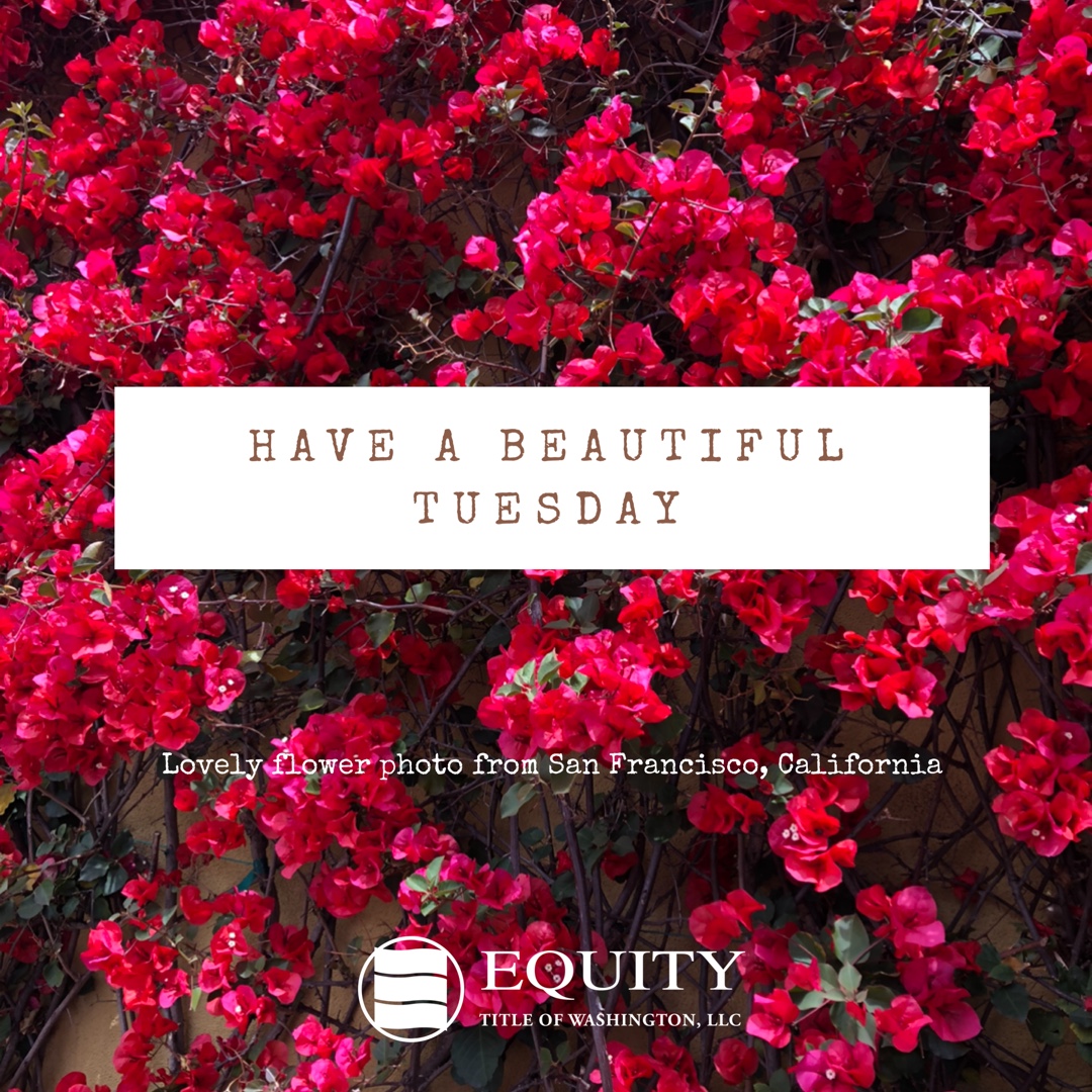 𝒦ℯℯ𝓅𝒾𝓃ℊ 🌸𝓉𝒽ℯ 🌺𝓅ℴ𝓈𝒾𝓉𝒾𝓋ℯ🌷 𝓋𝒾𝒷ℯ𝓈🌼 𝒻𝓁ℴ𝓌𝒾𝓃’ 🌬... Have a beautiful Tuesday everybody 🤩✌️
•
#tuesdayvibes #positivemindset #influence #communitiesstrong #lovelocal #everyexperiencematters #equitytitleofwashington🏘