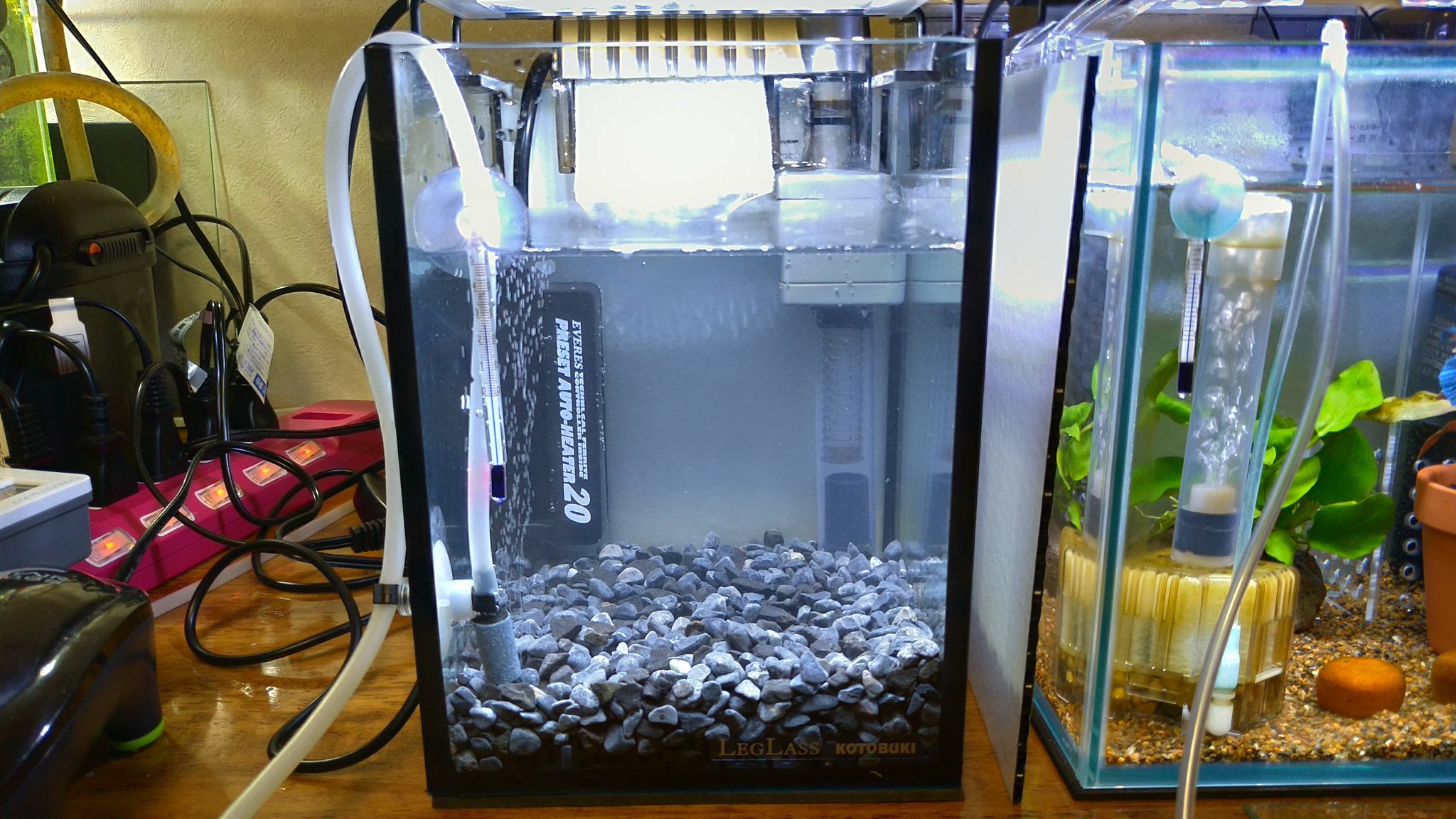 ざんくろ 副反応でポチリまくり 琥珀君には金魚鉢に避難して貰って徹底清掃しましたよー この水槽 底面フィルターで組んで有るんですが底砂が凄く汚れてました 容量的にプロホースで吸い込んで掃除出来ないので定期的にひっくり返して掃除が