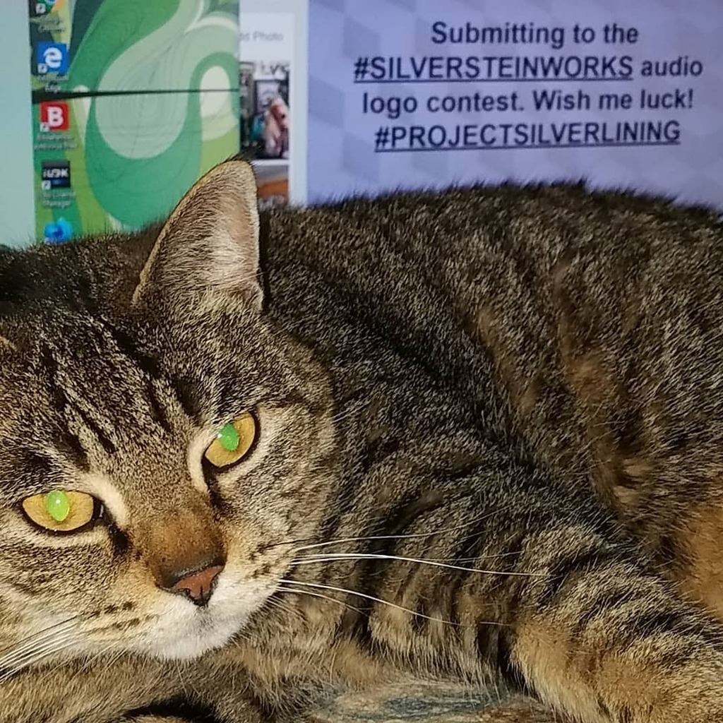 Geoff Cox tweet media