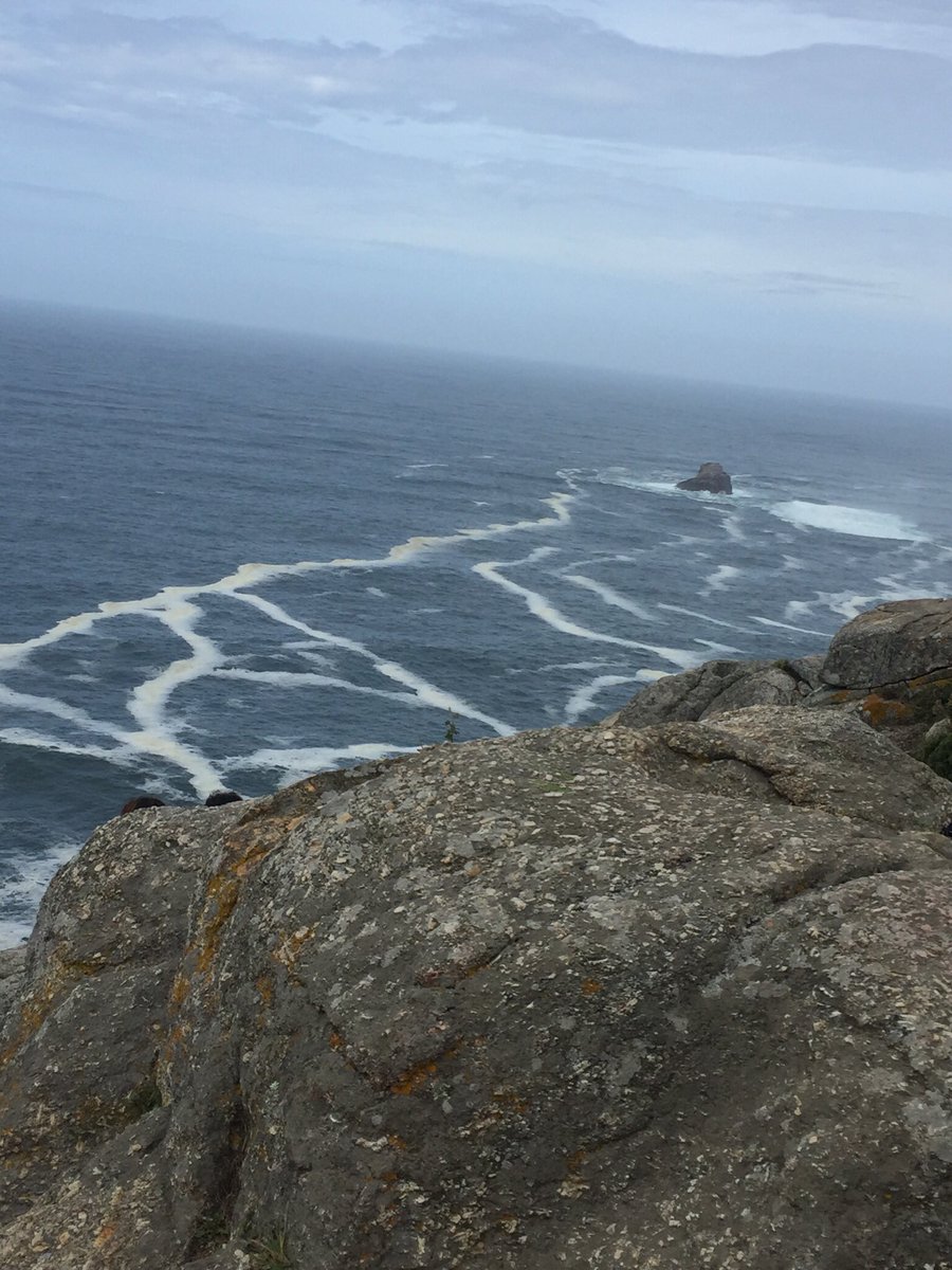 VealeCaroline's tweet photo. @followthecamino Walked there from Santiago in September last year. Such a stunning place exceeded all expectations. https://t.co/uW2kUPpWXm