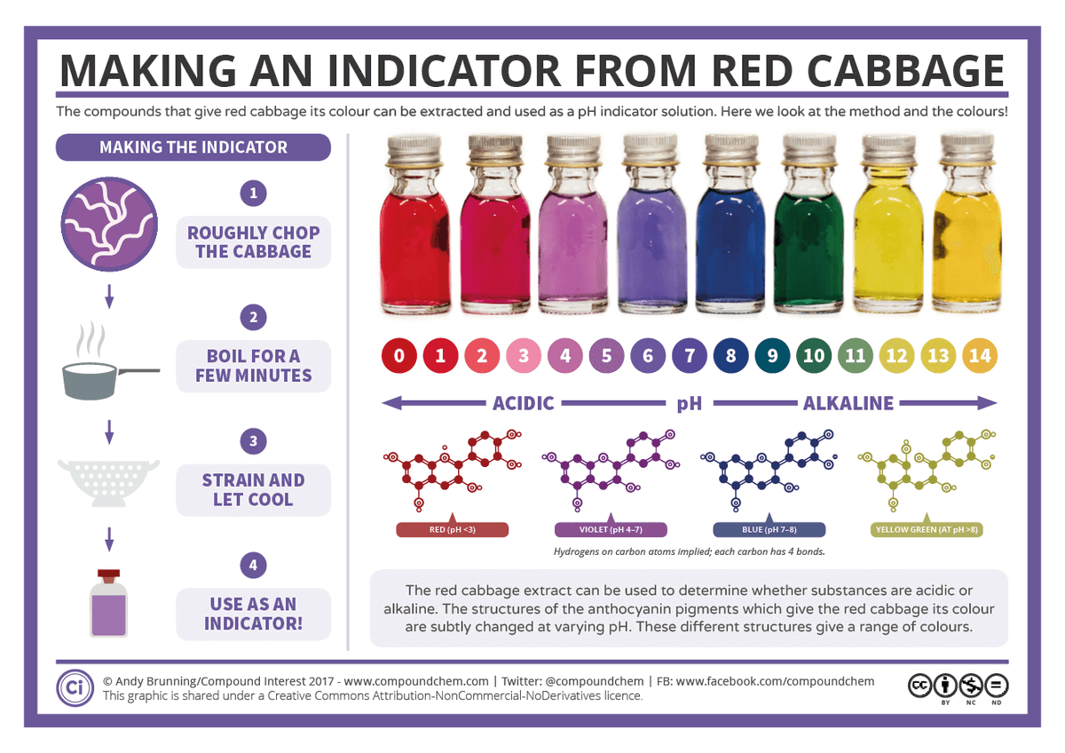 RoySocChem's tweet photo. Red cabbage gets its colour from compounds called anthocyanins in its leaves. These anthocyanins are peculiar in that they’re pH-sensitive, and this allows them to be used as pH indicators. @compoundchem has some fantastic information on this experiment ➡️ https://t.co/EAPPKCkeW1 https://t.co/v69fY53u8Q